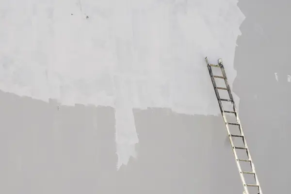 Exterior painting in Springfield: ladder against a freshly primed wall